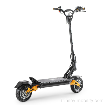 Meilleur scooter électrique de mobilité urbaine / 2000W Scooters électriques portables à 2 roues pour adultes